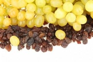 ¡Ojo con nuestro microondas! ¿Qué podemos meter en él?